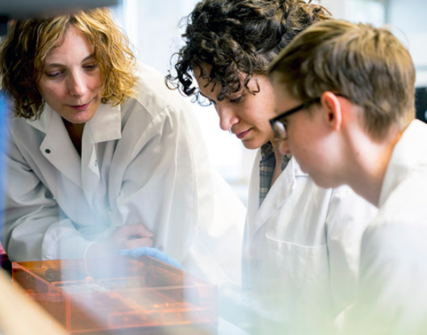 Three researchers in lab coats looking down at a desk